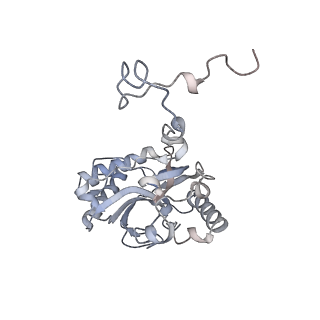 11829_7ane_ar_v1-0
Leishmania Major mitochondrial ribosome