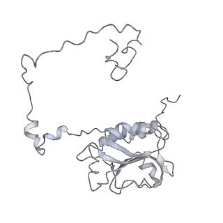 11829_7ane_as_v1-0
Leishmania Major mitochondrial ribosome