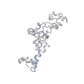 11829_7ane_at_v1-0
Leishmania Major mitochondrial ribosome