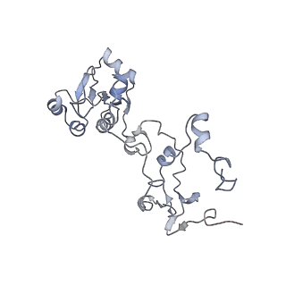 11829_7ane_au_v1-0
Leishmania Major mitochondrial ribosome