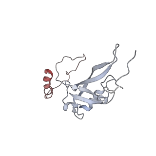 11829_7ane_av_v1-0
Leishmania Major mitochondrial ribosome