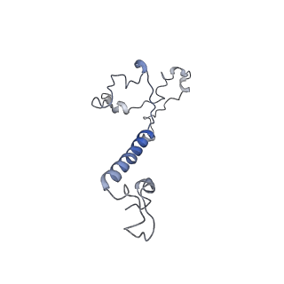 11829_7ane_aw_v1-0
Leishmania Major mitochondrial ribosome