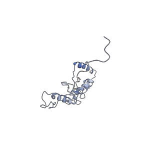 11829_7ane_ax_v1-0
Leishmania Major mitochondrial ribosome
