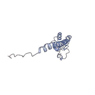 11829_7ane_ay_v1-0
Leishmania Major mitochondrial ribosome