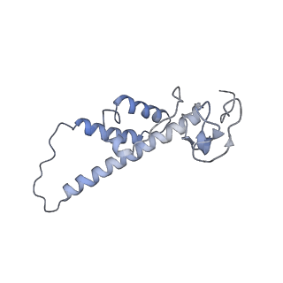 11829_7ane_az_v1-0
Leishmania Major mitochondrial ribosome