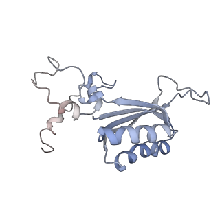 11829_7ane_b_v1-0
Leishmania Major mitochondrial ribosome