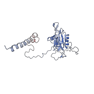11829_7ane_c_v1-0
Leishmania Major mitochondrial ribosome