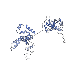 11829_7ane_d_v1-0
Leishmania Major mitochondrial ribosome