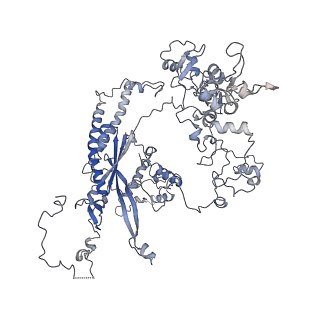 11829_7ane_e_v1-0
Leishmania Major mitochondrial ribosome