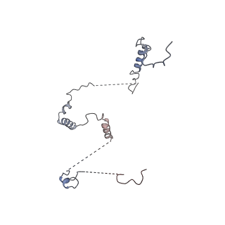 11829_7ane_f_v1-0
Leishmania Major mitochondrial ribosome