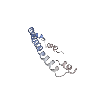 11829_7ane_g_v1-0
Leishmania Major mitochondrial ribosome