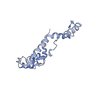 11829_7ane_h_v1-0
Leishmania Major mitochondrial ribosome