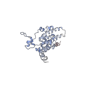 11829_7ane_i_v1-0
Leishmania Major mitochondrial ribosome