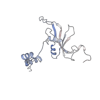 11829_7ane_j_v1-0
Leishmania Major mitochondrial ribosome