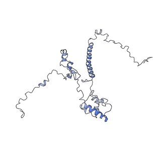 11829_7ane_m_v1-0
Leishmania Major mitochondrial ribosome