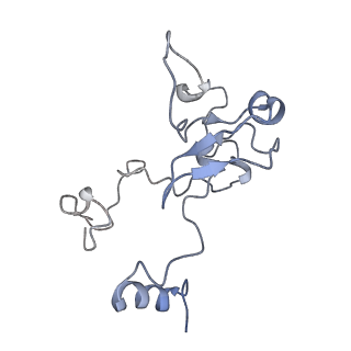 11829_7ane_n_v1-0
Leishmania Major mitochondrial ribosome
