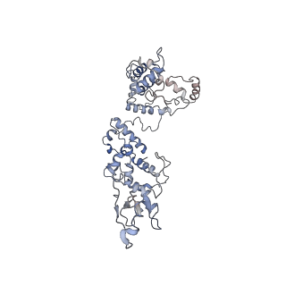 11829_7ane_o_v1-0
Leishmania Major mitochondrial ribosome