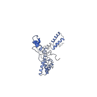 11829_7ane_p_v1-0
Leishmania Major mitochondrial ribosome