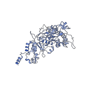 11829_7ane_r_v1-0
Leishmania Major mitochondrial ribosome