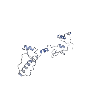 11829_7ane_s_v1-0
Leishmania Major mitochondrial ribosome