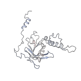 11829_7ane_t_v1-0
Leishmania Major mitochondrial ribosome