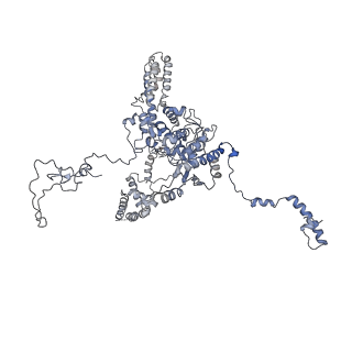 11829_7ane_u_v1-0
Leishmania Major mitochondrial ribosome