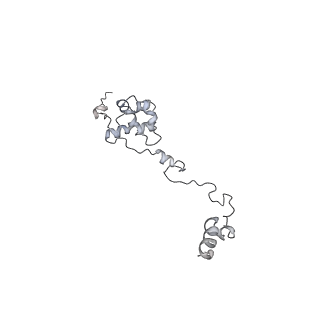 11829_7ane_w_v1-0
Leishmania Major mitochondrial ribosome