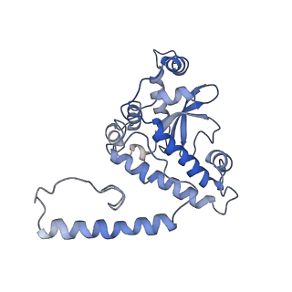 11829_7ane_x_v1-0
Leishmania Major mitochondrial ribosome
