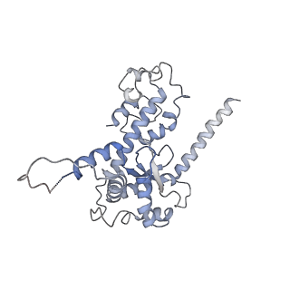 11829_7ane_y_v1-0
Leishmania Major mitochondrial ribosome