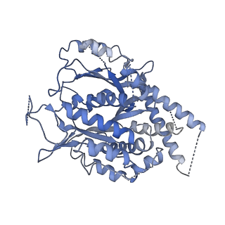 11835_7anz_A_v1-2
Structure of the Candida albicans gamma-Tubulin Small Complex