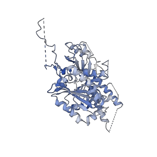 11835_7anz_B_v1-2
Structure of the Candida albicans gamma-Tubulin Small Complex