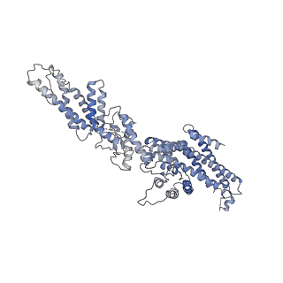 11835_7anz_C_v1-2
Structure of the Candida albicans gamma-Tubulin Small Complex