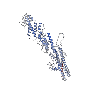 11835_7anz_D_v1-2
Structure of the Candida albicans gamma-Tubulin Small Complex