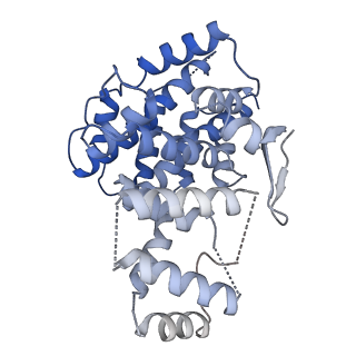 15529_8an1_A_v1-0
Structure of a first level Sierpinski triangle formed by a citrate synthase