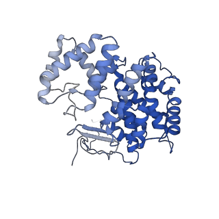 15529_8an1_C_v1-0
Structure of a first level Sierpinski triangle formed by a citrate synthase