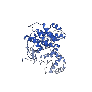 15529_8an1_D_v1-0
Structure of a first level Sierpinski triangle formed by a citrate synthase