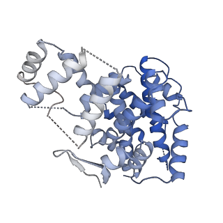 15529_8an1_F_v1-0
Structure of a first level Sierpinski triangle formed by a citrate synthase