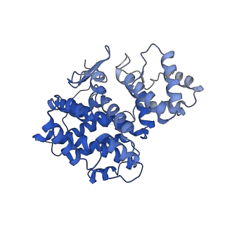 15529_8an1_G_v1-0
Structure of a first level Sierpinski triangle formed by a citrate synthase