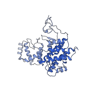 15529_8an1_H_v1-0
Structure of a first level Sierpinski triangle formed by a citrate synthase