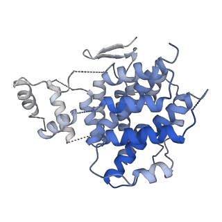 15529_8an1_I_v1-0
Structure of a first level Sierpinski triangle formed by a citrate synthase