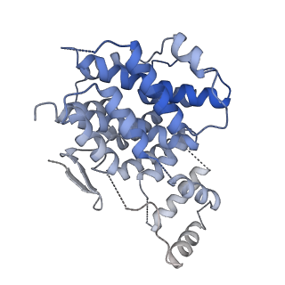 15529_8an1_J_v1-0
Structure of a first level Sierpinski triangle formed by a citrate synthase