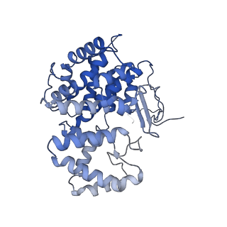 15529_8an1_K_v1-0
Structure of a first level Sierpinski triangle formed by a citrate synthase