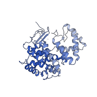15529_8an1_L_v1-0
Structure of a first level Sierpinski triangle formed by a citrate synthase