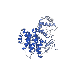 15529_8an1_M_v1-0
Structure of a first level Sierpinski triangle formed by a citrate synthase