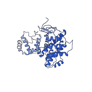 15529_8an1_N_v1-0
Structure of a first level Sierpinski triangle formed by a citrate synthase