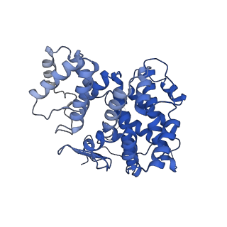 15529_8an1_O_v1-0
Structure of a first level Sierpinski triangle formed by a citrate synthase