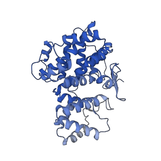 15529_8an1_P_v1-0
Structure of a first level Sierpinski triangle formed by a citrate synthase