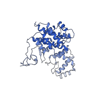 15529_8an1_Q_v1-0
Structure of a first level Sierpinski triangle formed by a citrate synthase