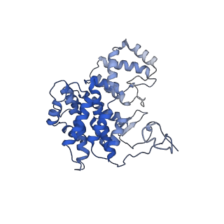 15529_8an1_R_v1-0
Structure of a first level Sierpinski triangle formed by a citrate synthase