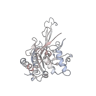 15540_8ane_A_v1-1
Structure of the type I-G CRISPR effector